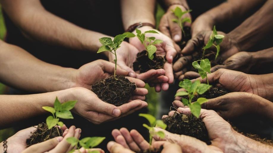 Grupo Oceano promove o Dia Verde no domingo (18), no Balneário Cassino