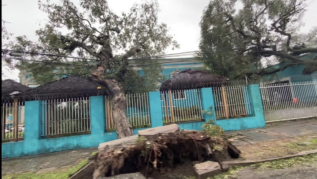 Ruas rio-grandinas são interrompidas por árvores e postes