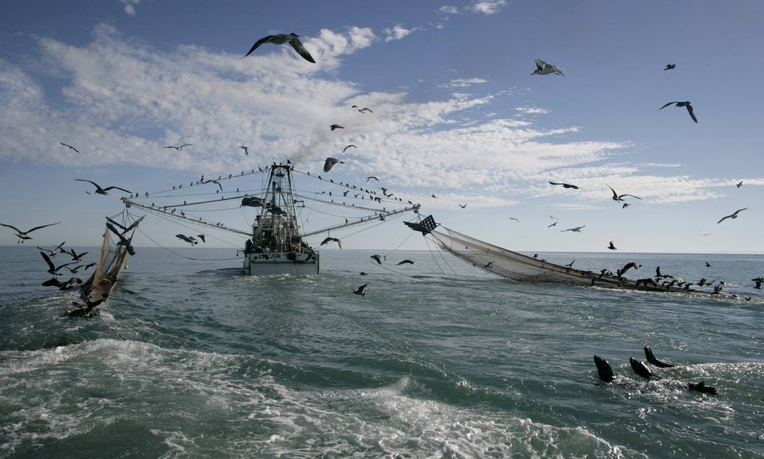 Anulação de portarias do Ministério da Agricultura revoga pesca de arrasto no Litoral Gaúcho