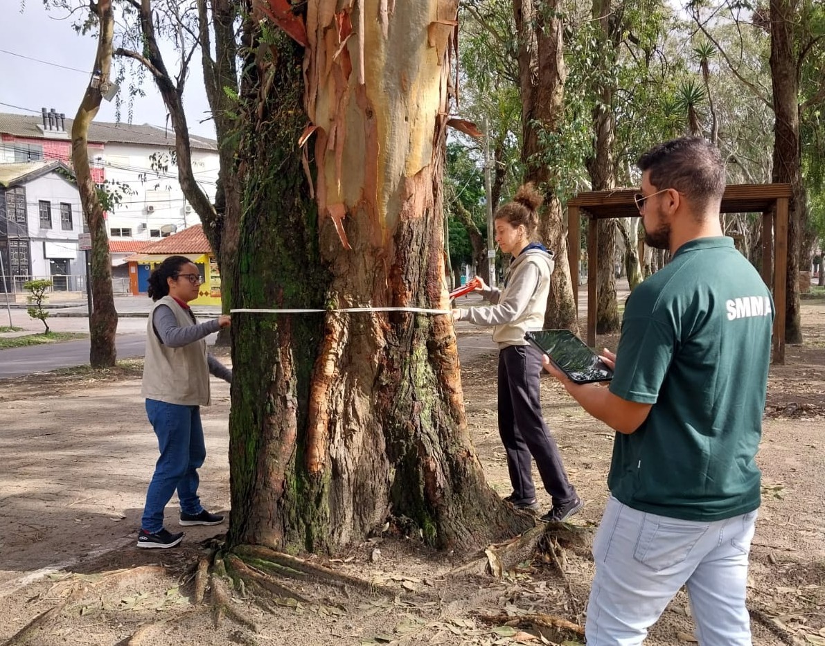 ProArbo: mais de 5 mil árvores já foram mapeadas em Rio Grande