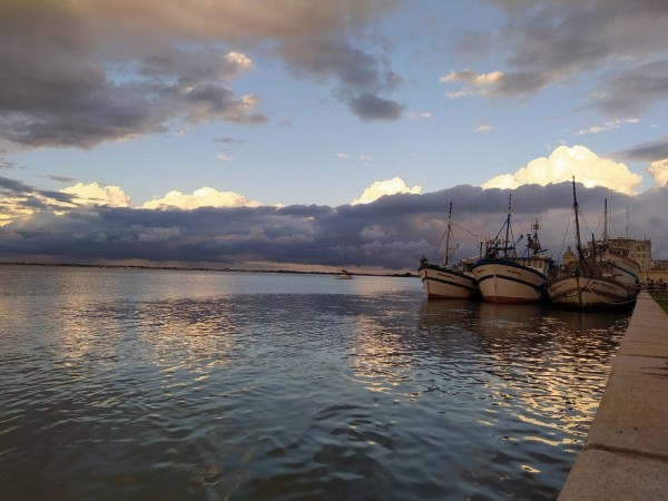 Disponibilidade de Corvina em Rio Grande preocupa pesquisadores e pescadores