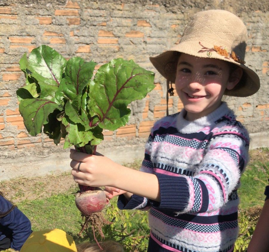 Projeto "Plantando Sonhos, Colhendo Frutos" transforma escolas rio-grandinas em ambientes de aprendizado sustentável