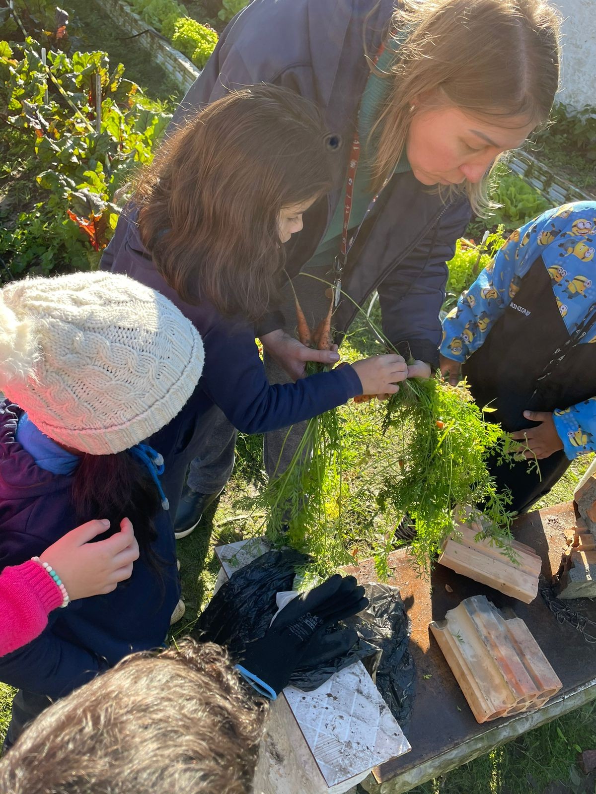 2ª fase do projeto Plantando sonhos, colhendo frutos já está em andamento