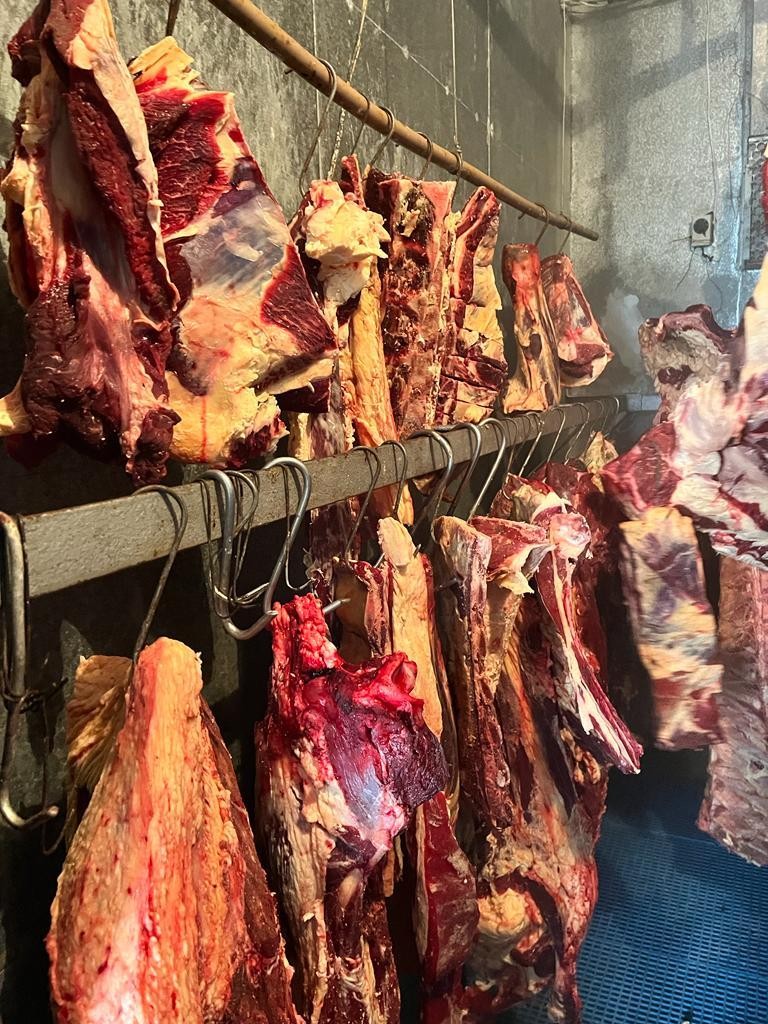 Abatedouro é fechado na zona sul do RS com mais de uma tonelada de carne imprópria 