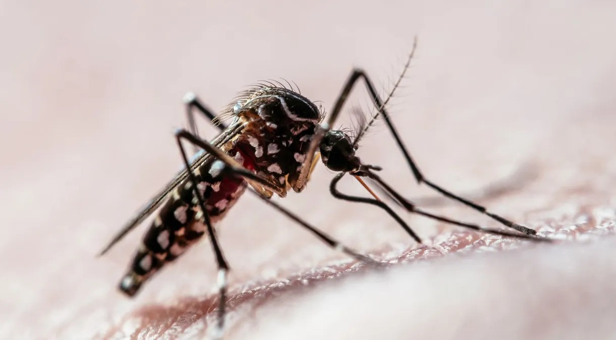 São José do Norte registra mais um caso de dengue importado
