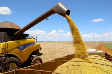 Safra de grãos no RS deve ser 45,3% maior, estima Conab