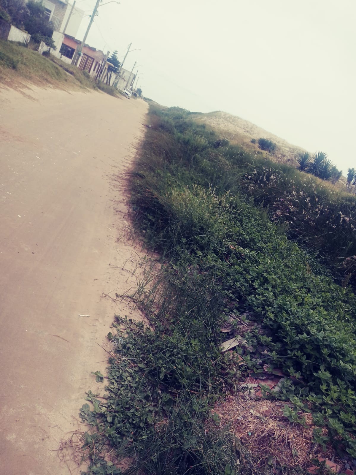 36a10439-e597-4694-9e19-bae337d187b5