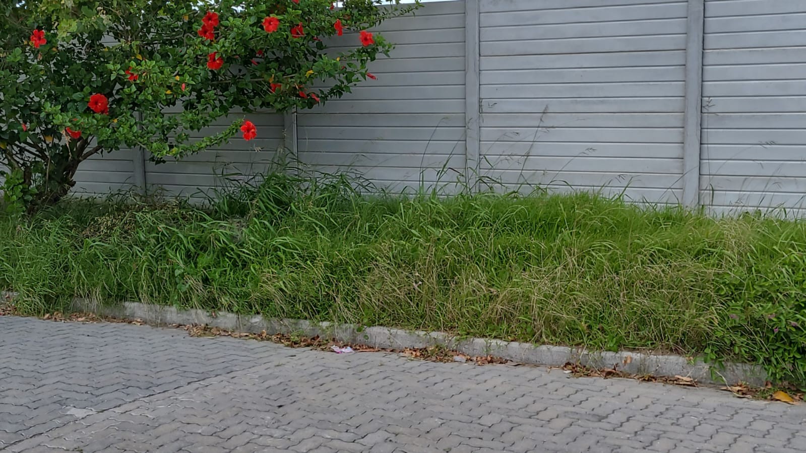 00d40a0d-3946-49fb-8a06-37e20283fb10