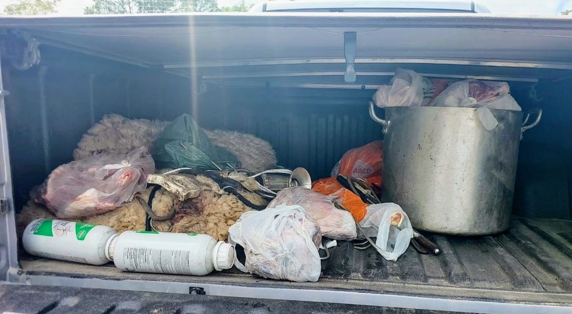 WhatsApp Image 2025-11-26 at 21.41.41