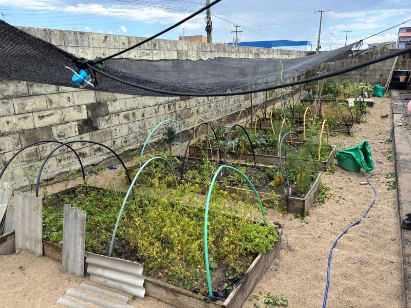 WhatsApp_Image_2025_11_28_at_14_59_24