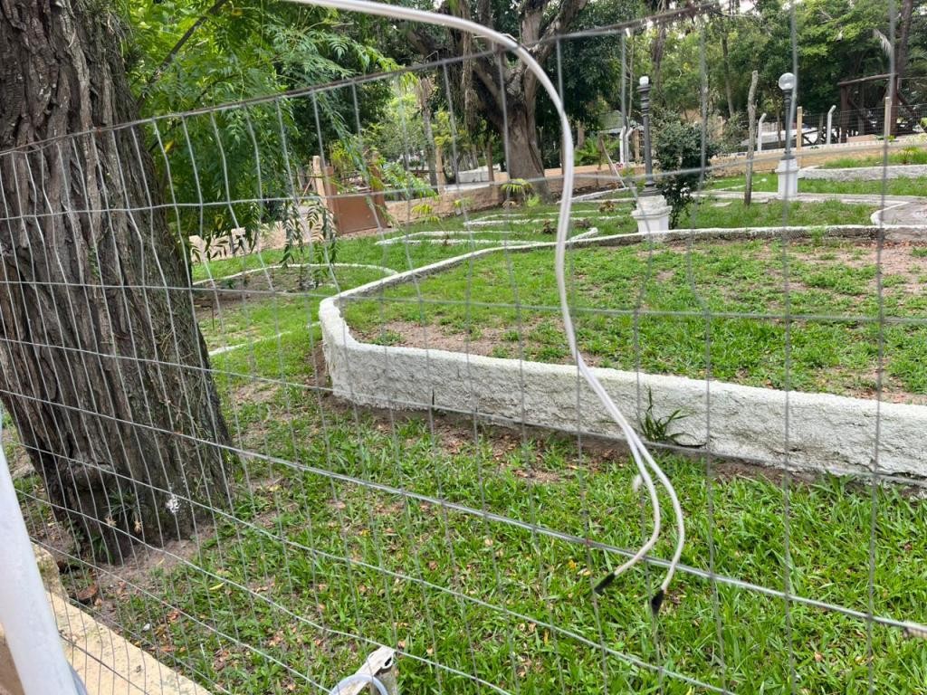 WhatsAppImage20260318at12.55.3311773851308606_foto