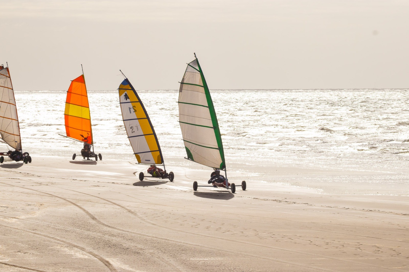 90721281405042026_WhatsApp_Image_2026-04-05_at_20.28.00