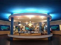 museu4