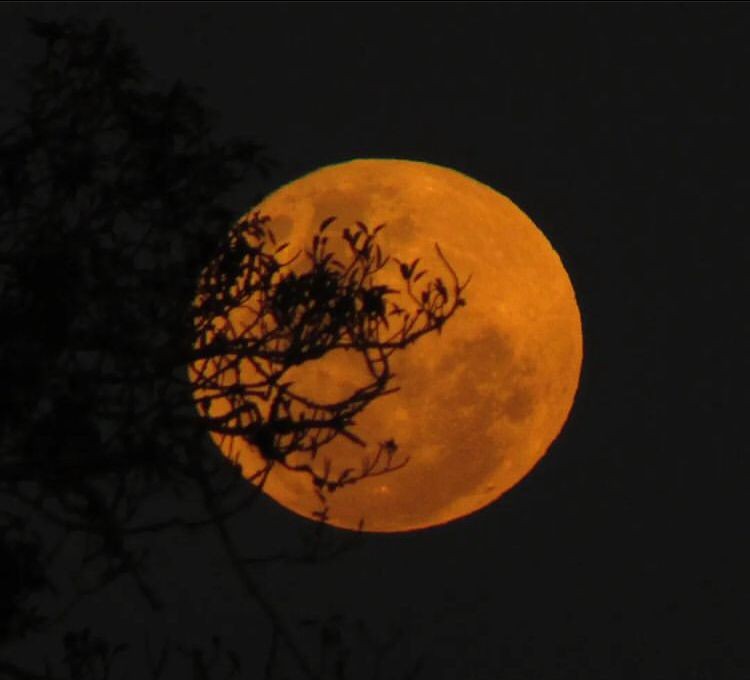Superlua dos Cervos