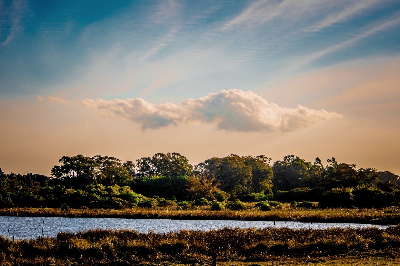 Categoria Apa da Lagoa Verde