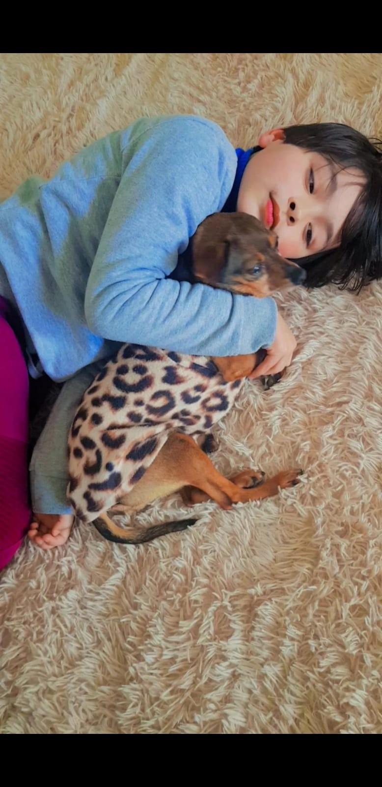 Dia Mundial dos Animais (5)