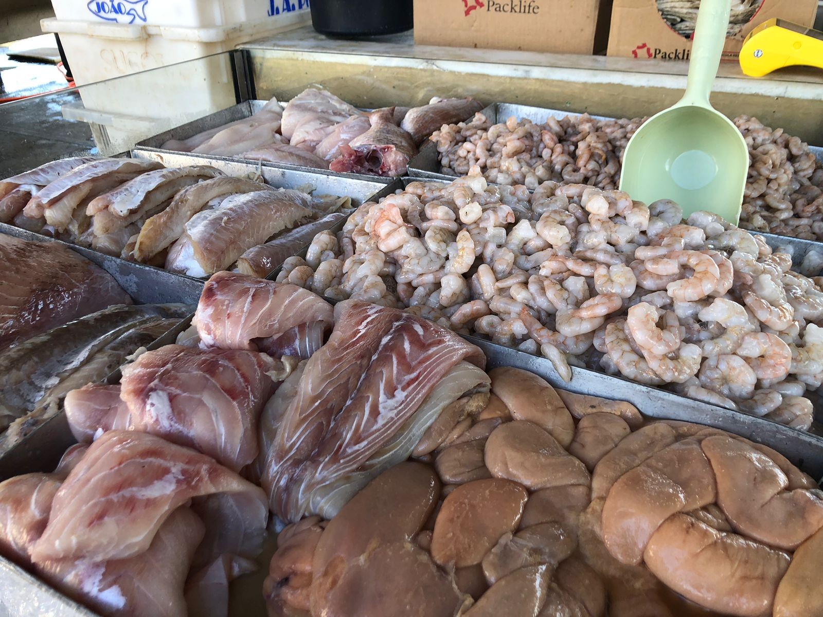 Comercialização de pescado/Foto: Tais Carolina